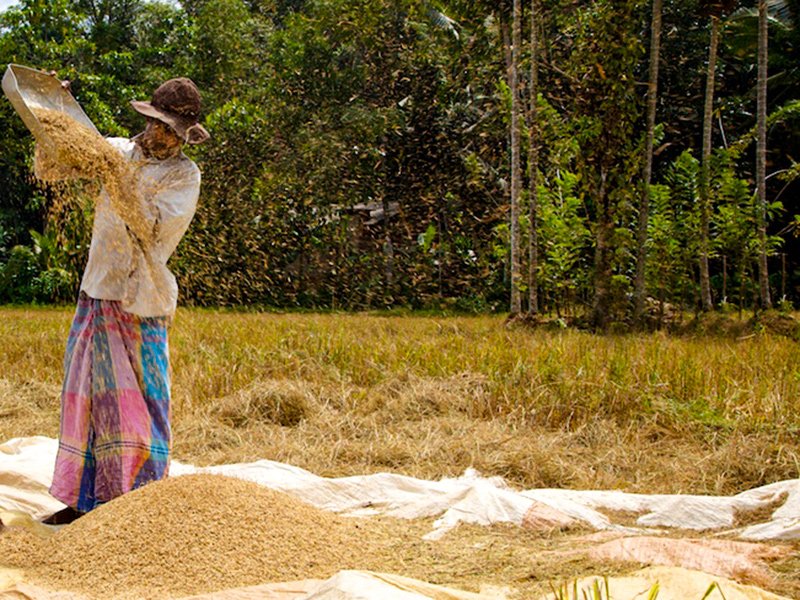 Winnowing chaff from grain